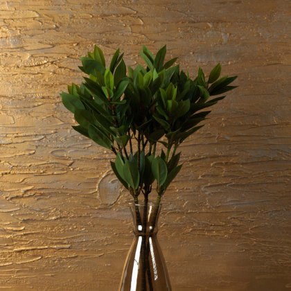 Feature Image 2