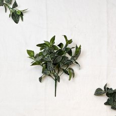 Artificial Fittonia Bush Artificial Fittonia Bush
