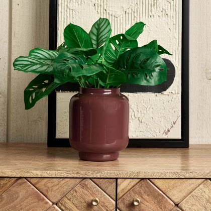 Glass Base Vase in Cherry - Large Glass Base Vase in Cherry - Large