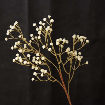 GYPSOPHILA spray 63cm GYPSOPHILA spray 63cm