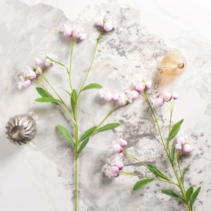 Dicentra spray 86cm Dicentra spray 86cm