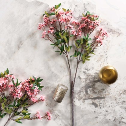 Prunus persica branch 91cm Prunus persica branch 91cm