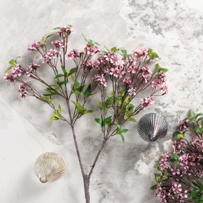 Prunus persica branch 91cm Prunus persica branch 91cm