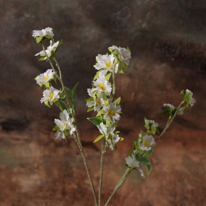 Cherry blossom spray75cm Cherry blossom spray75cm
