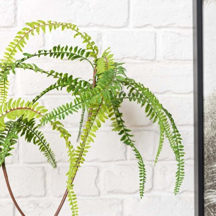 FERN BONSAI 90cm FERN BONSAI 90cm