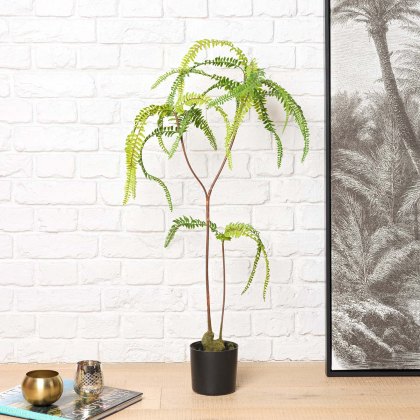 FERN BONSAI 90cm FERN BONSAI 90cm