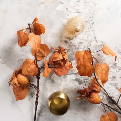 Dried pineapple spray 62cm Dried pineapple spray 62cm