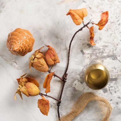 Dried pineapple spray 62cm Dried pineapple spray 62cm