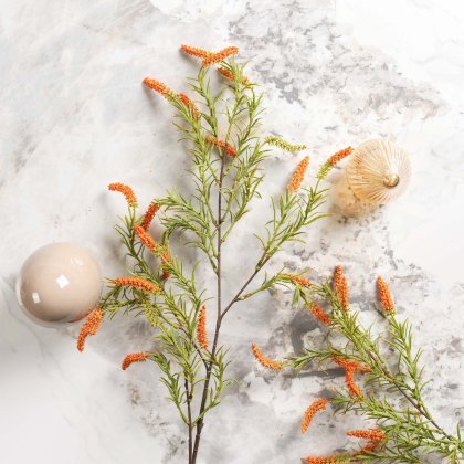 foxtail grass 104cm foxtail grass 104cm