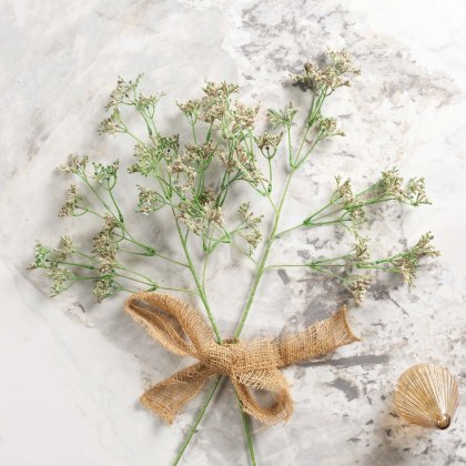 Gypsophila paniculata 68cm Gypsophila paniculata 68cm