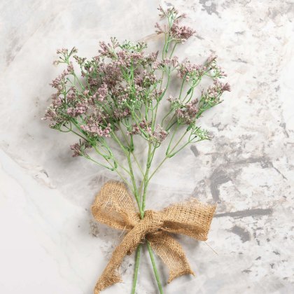 Gypsophila paniculata 68cm Gypsophila paniculata 68cm