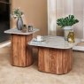 Woods Jaipur Set of 2 Tables